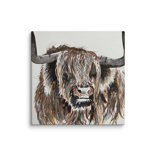 Highland Cow Canvas