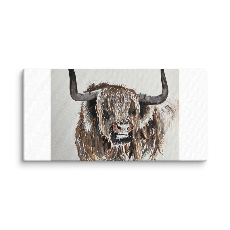 Highland Cow Canvas