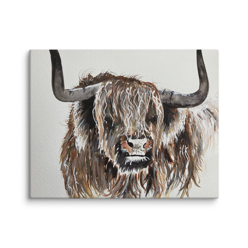 Highland Cow Canvas