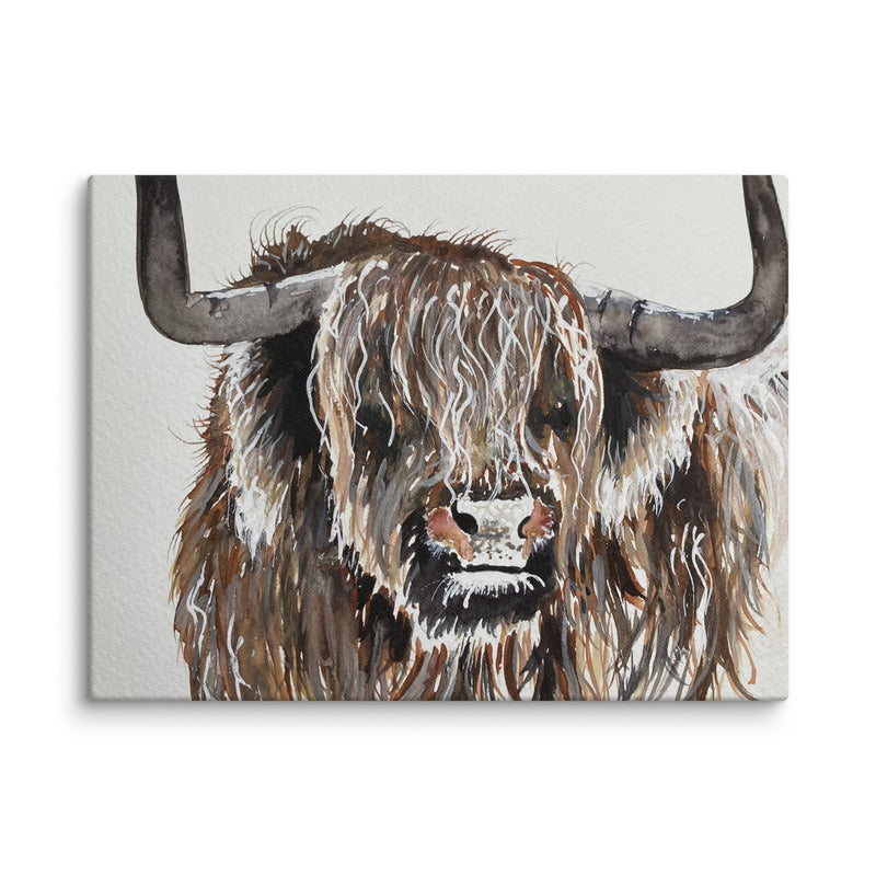 Highland Cow Canvas