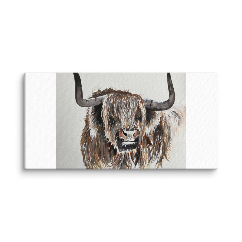 Highland Cow Canvas