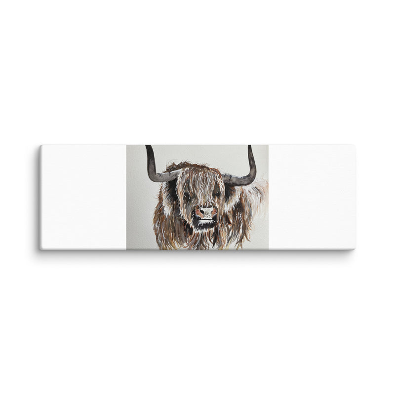 Highland Cow Canvas