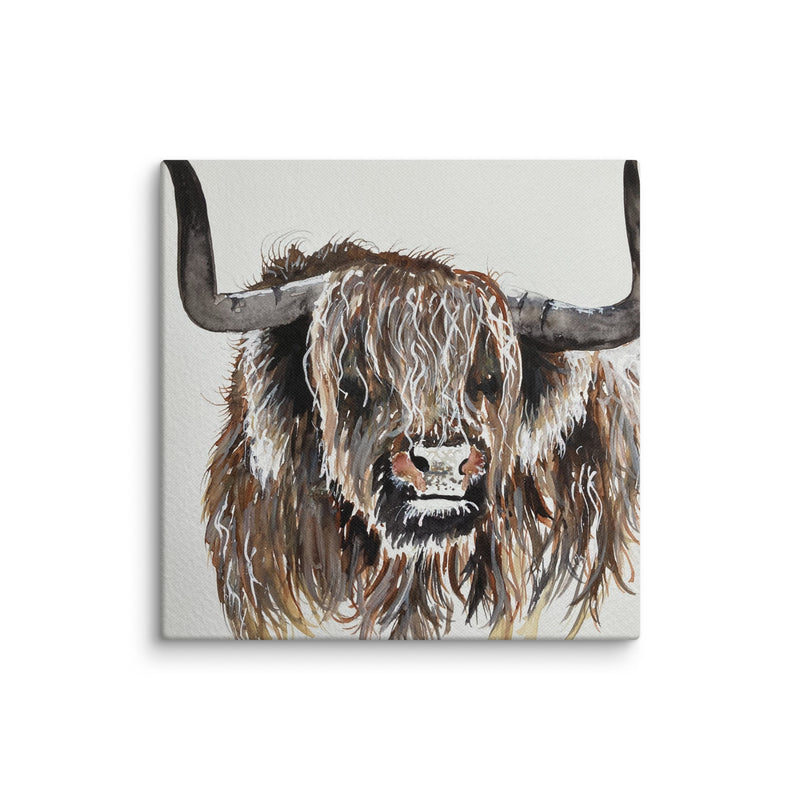 Highland Cow Canvas