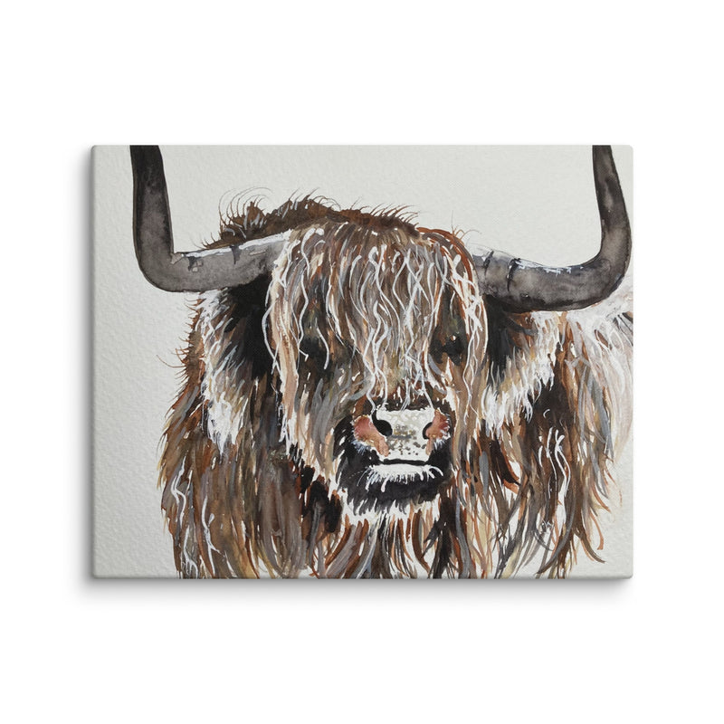 Highland Cow Canvas