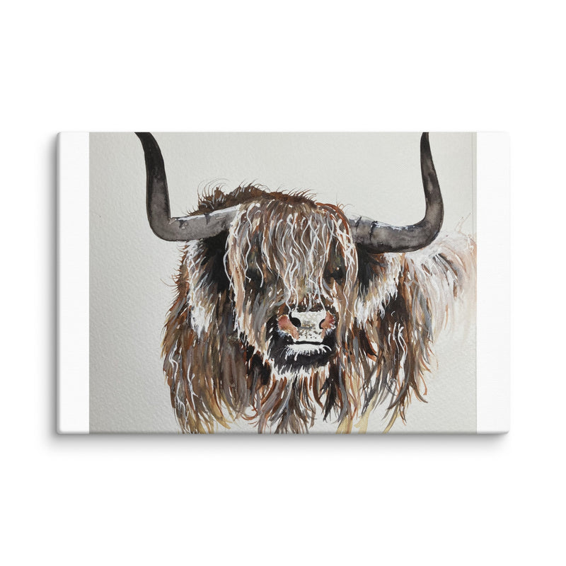 Highland Cow Canvas