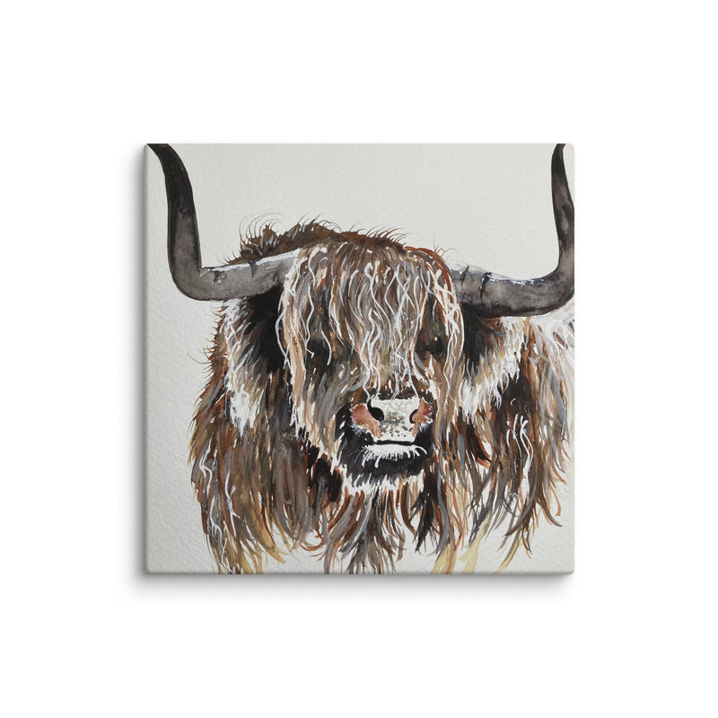 Highland Cow Canvas