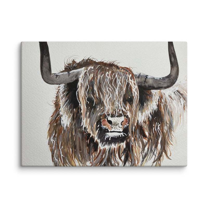 Highland Cow Canvas