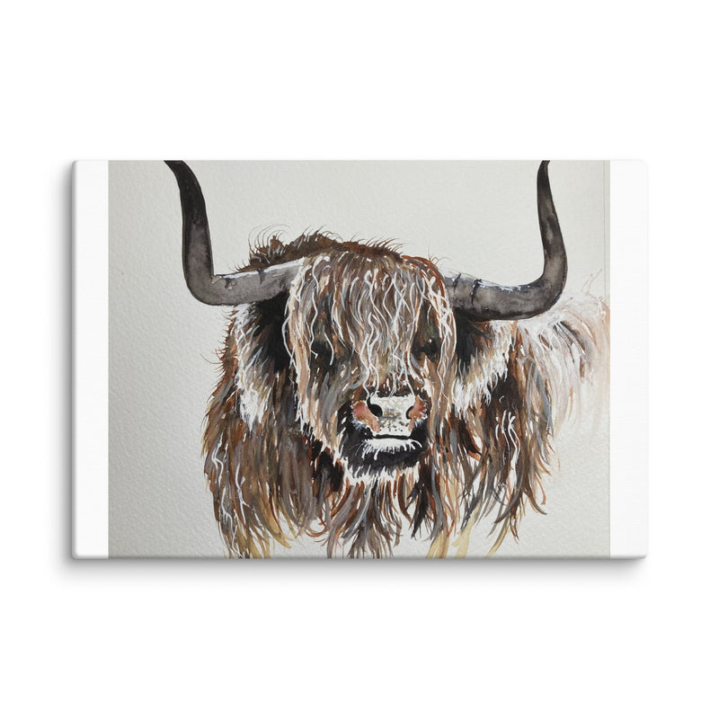 Highland Cow Canvas