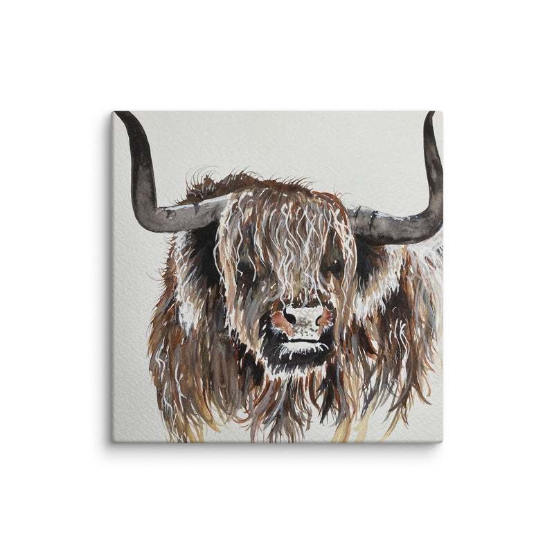 Highland Cow Canvas