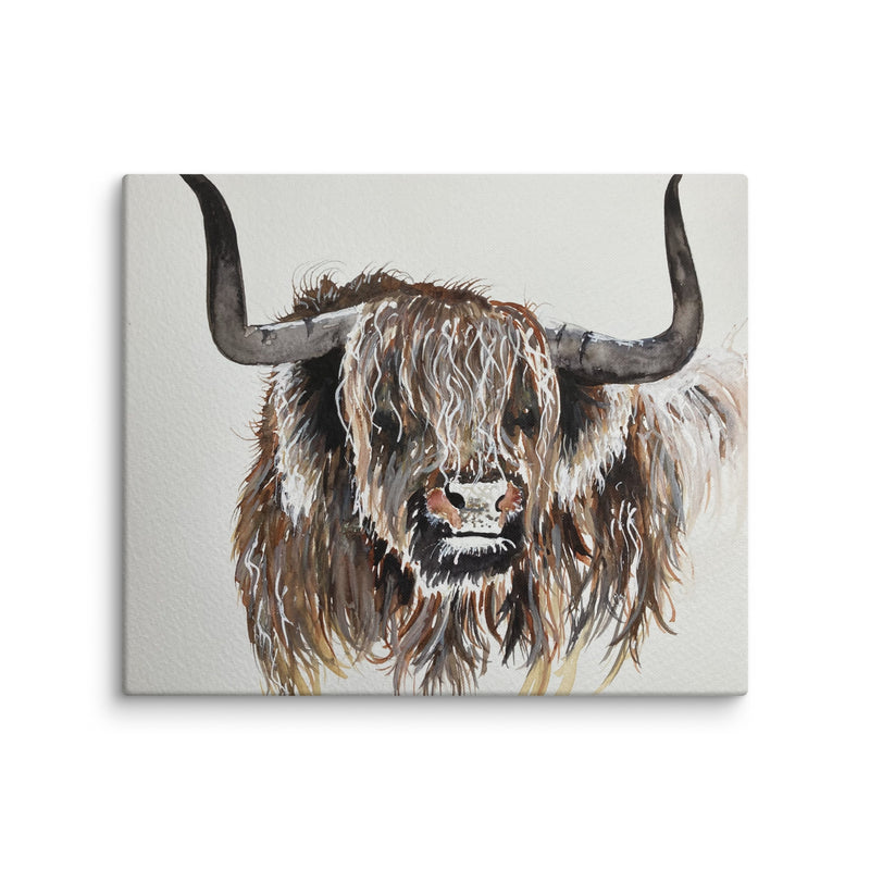 Highland Cow Canvas