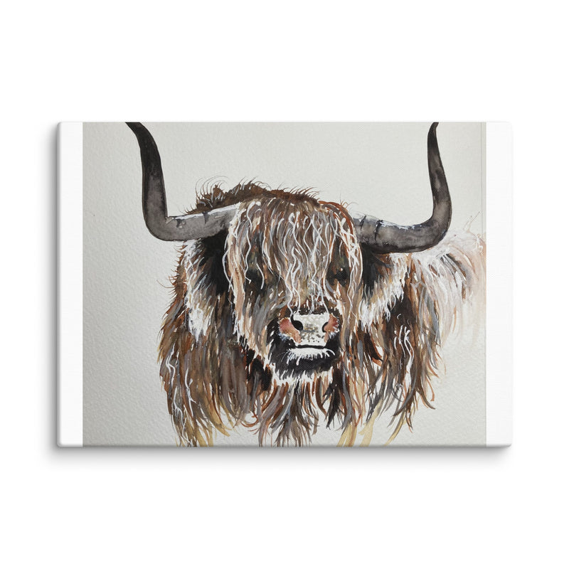 Highland Cow Canvas