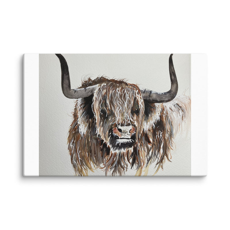 Highland Cow Canvas