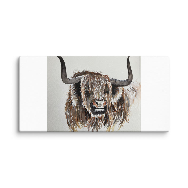 Highland Cow Canvas