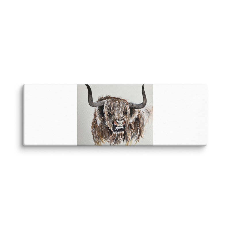 Highland Cow Canvas