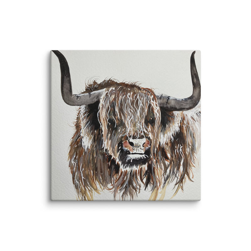 Highland Cow Canvas