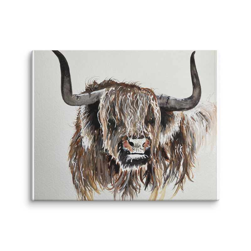 Highland Cow Canvas