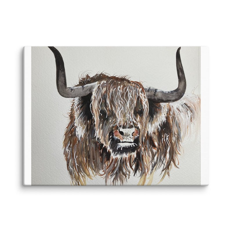 Highland Cow Canvas