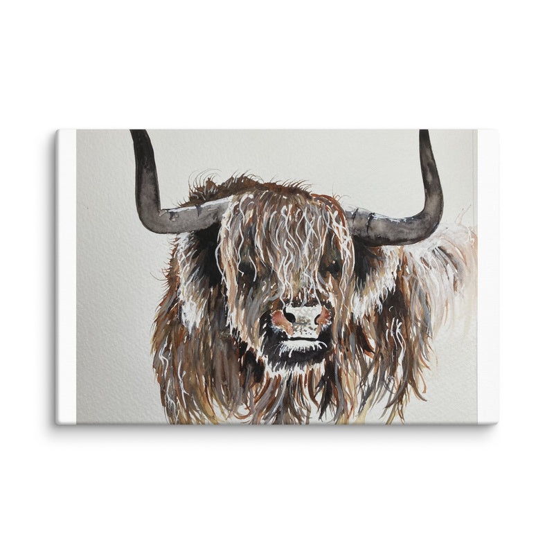 Highland Cow Canvas