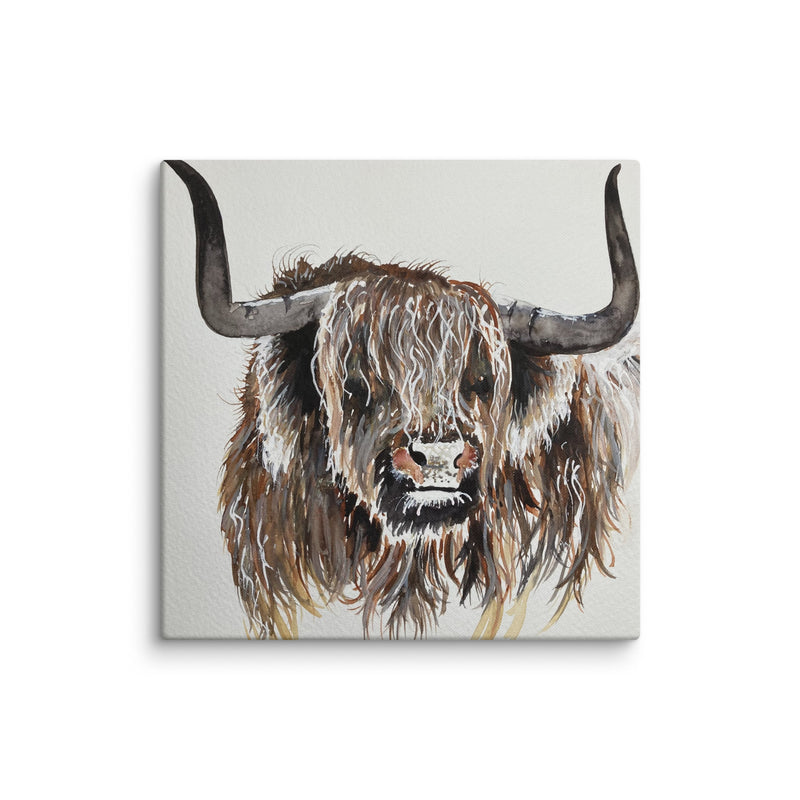 Highland Cow Canvas