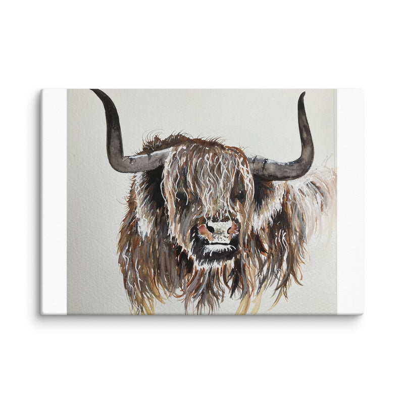 Highland Cow Canvas