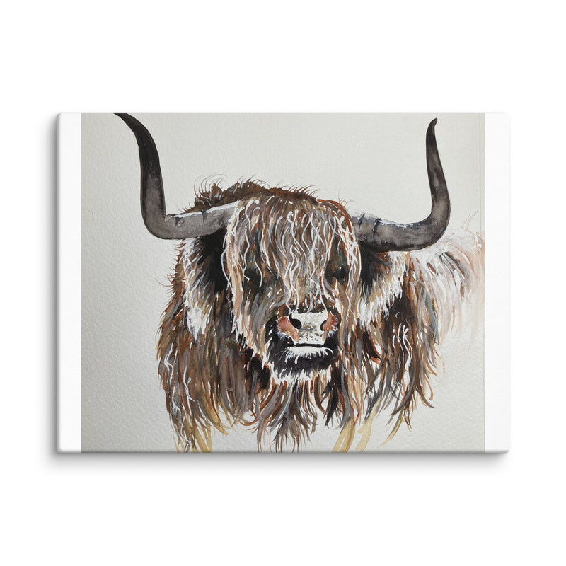 Highland Cow Canvas