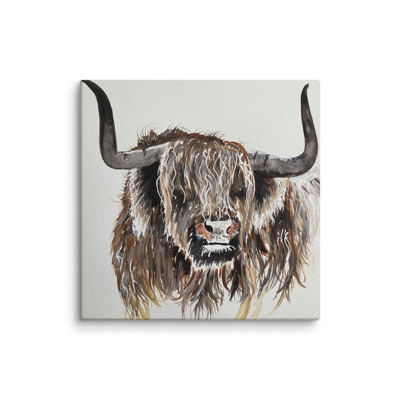 Highland Cow Canvas