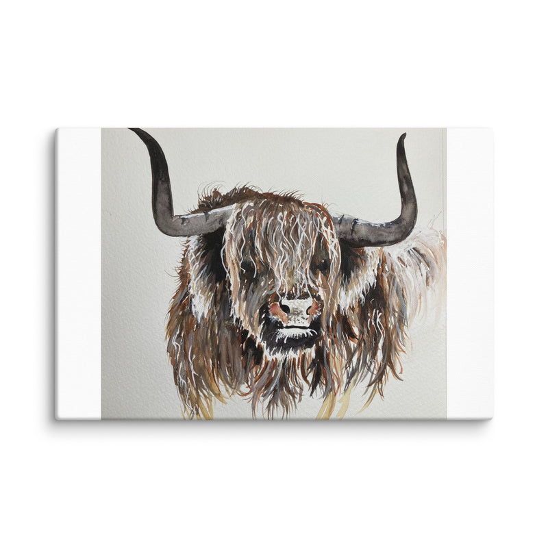 Highland Cow Canvas