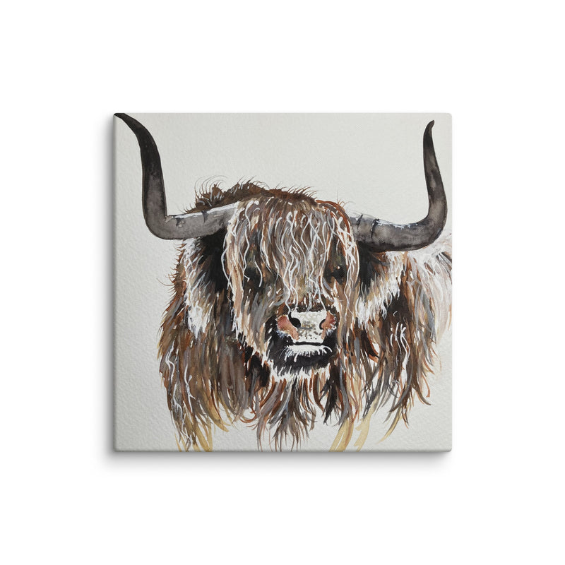 Highland Cow Canvas