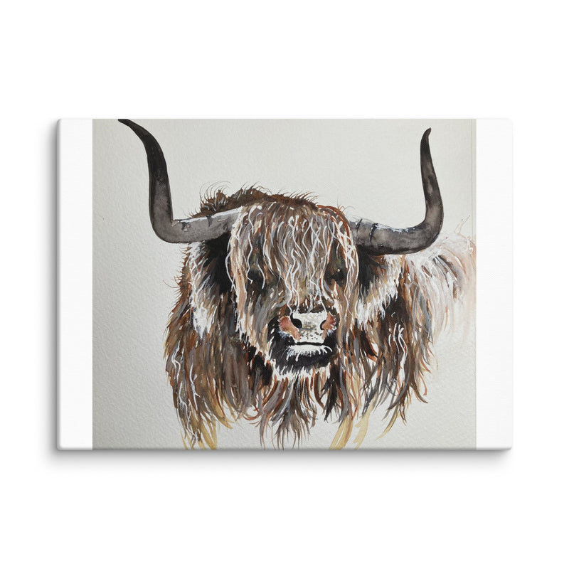 Highland Cow Canvas