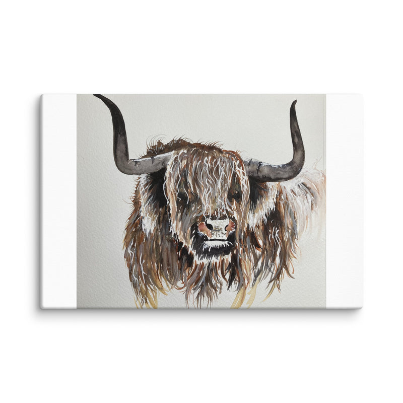 Highland Cow Canvas