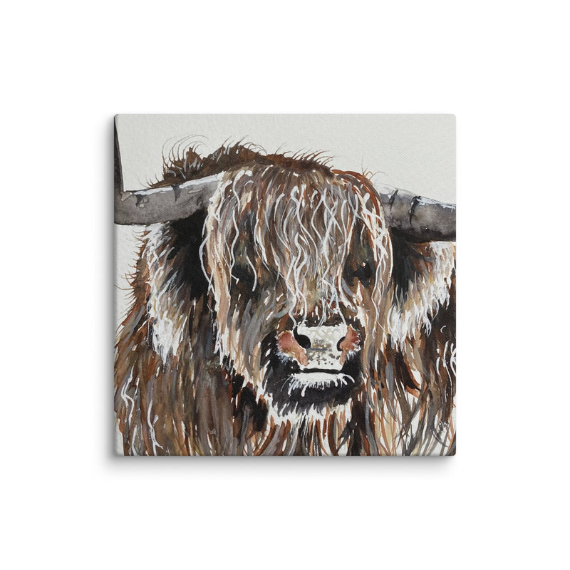 Highland Cow Canvas