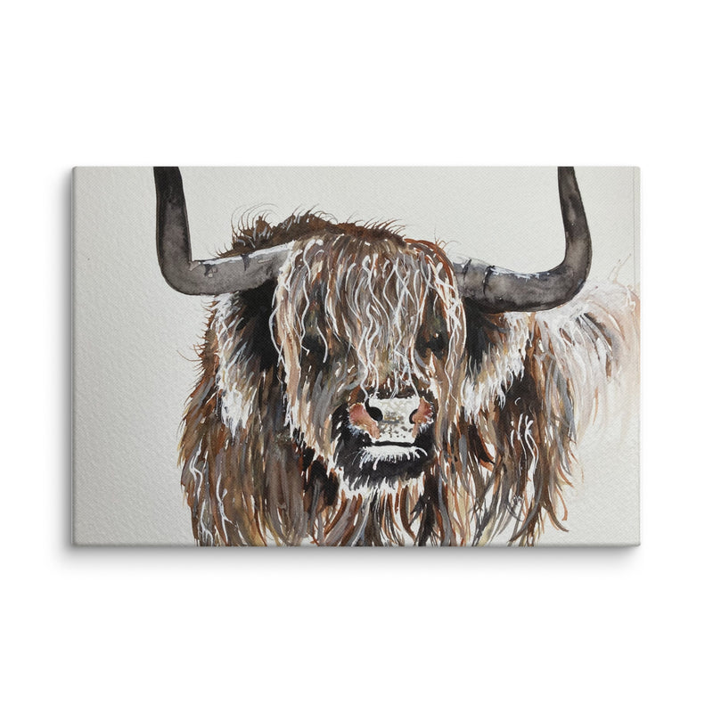 Highland Cow Canvas