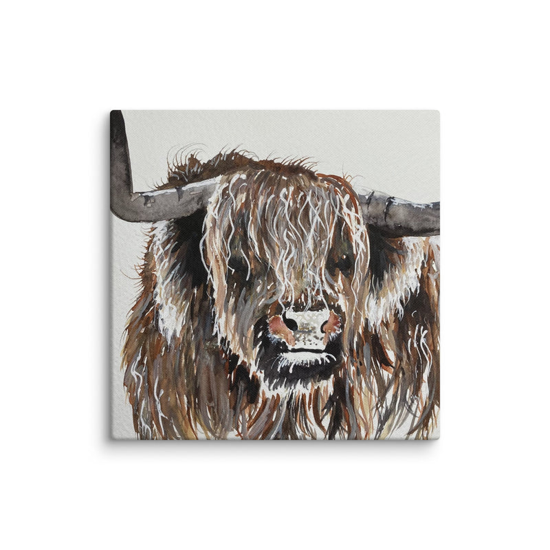 Highland Cow Canvas