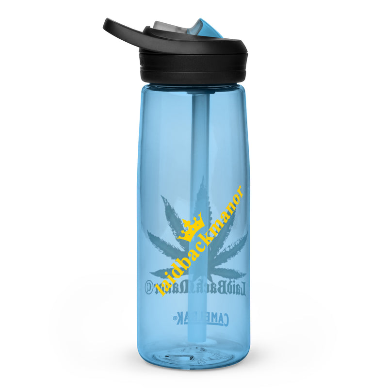 Sports water bottle