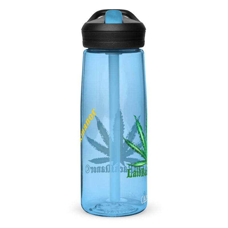 Sports water bottle