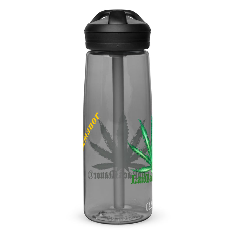 Sports water bottle