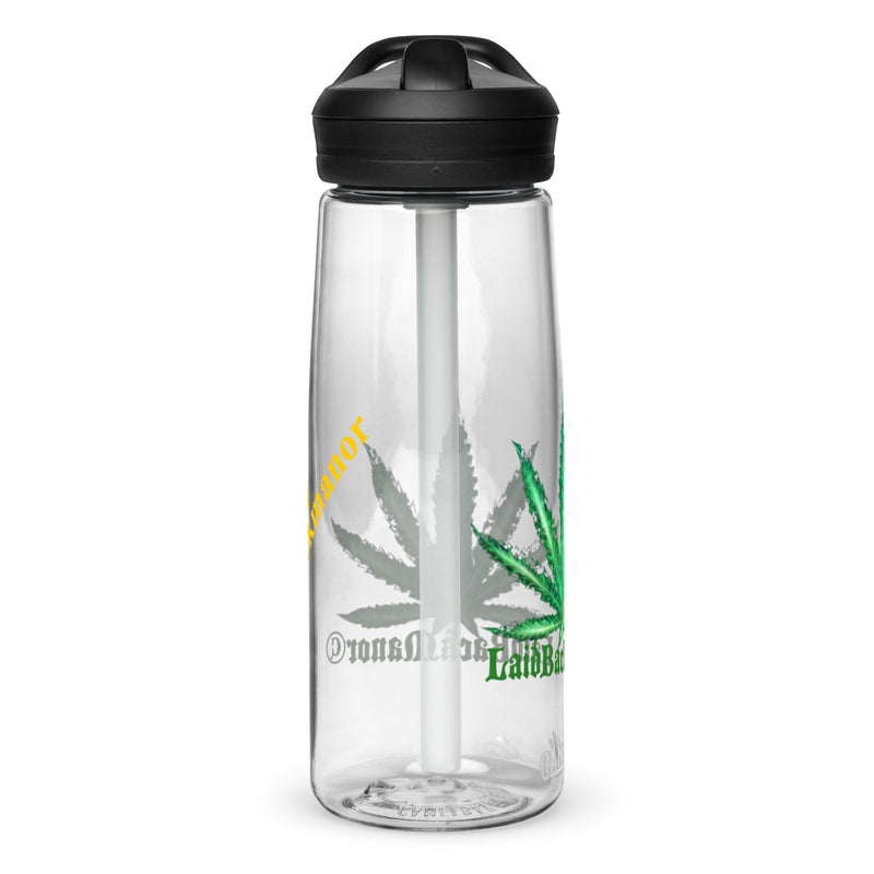 Sports water bottle