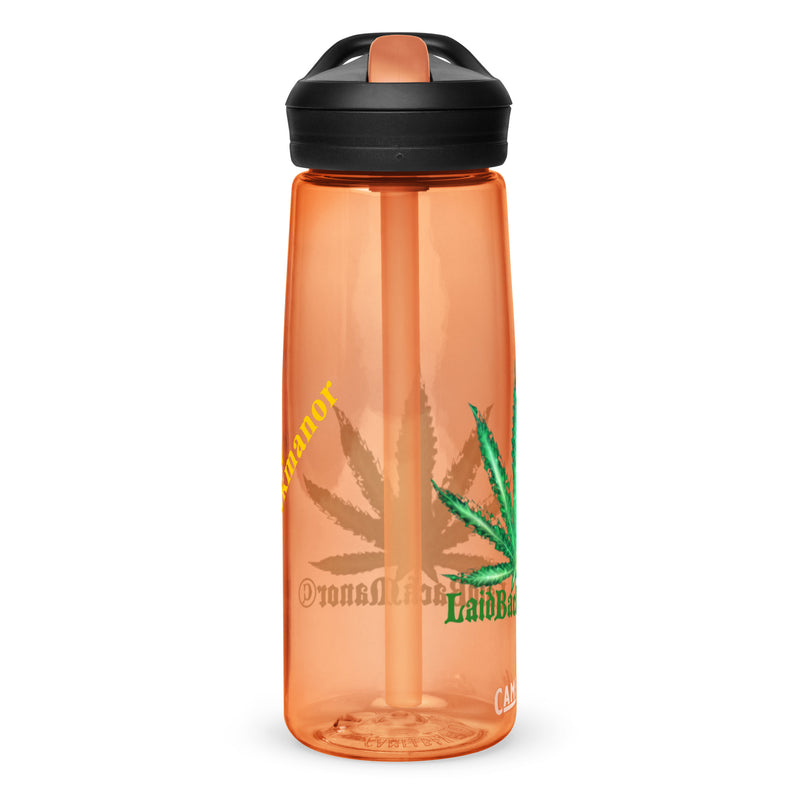 Sports water bottle