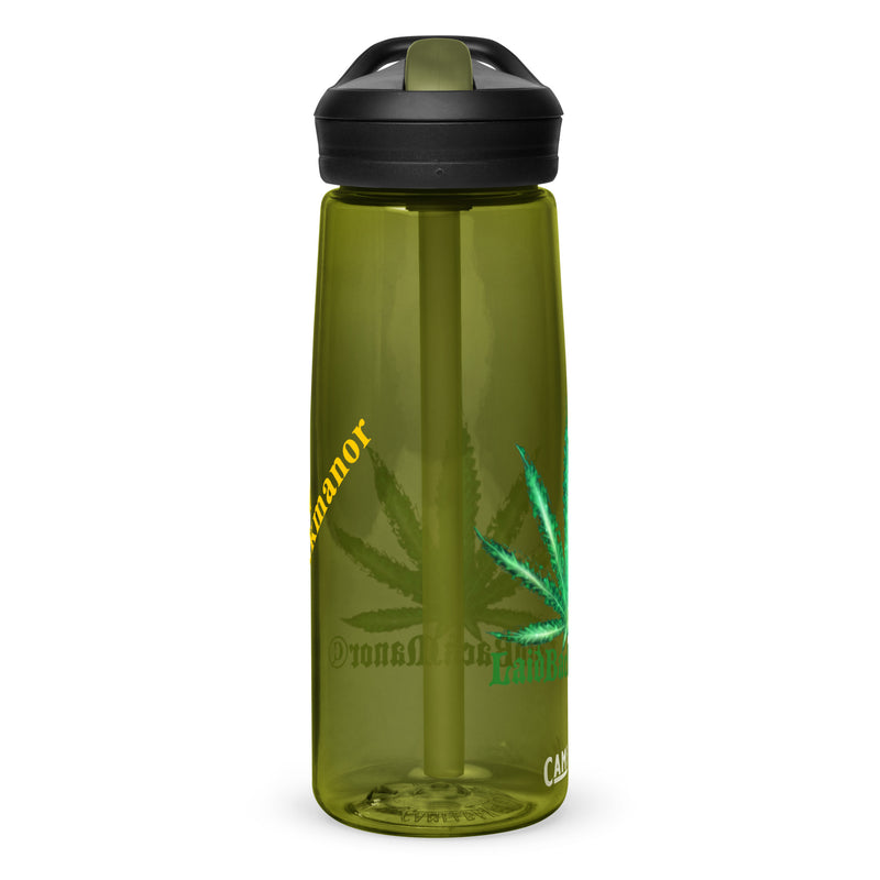 Sports water bottle