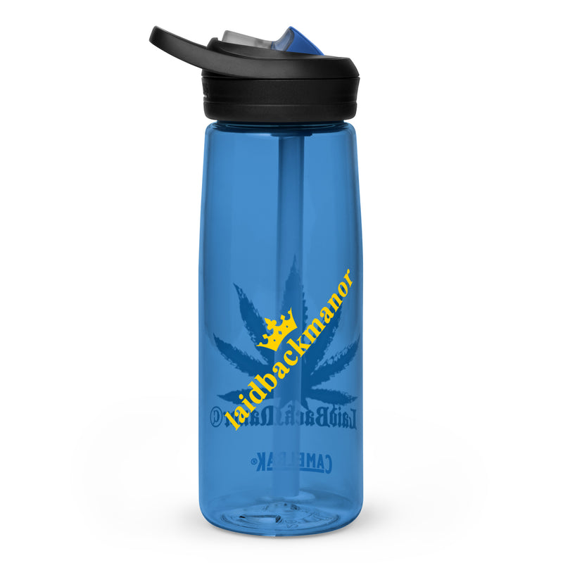 Sports water bottle