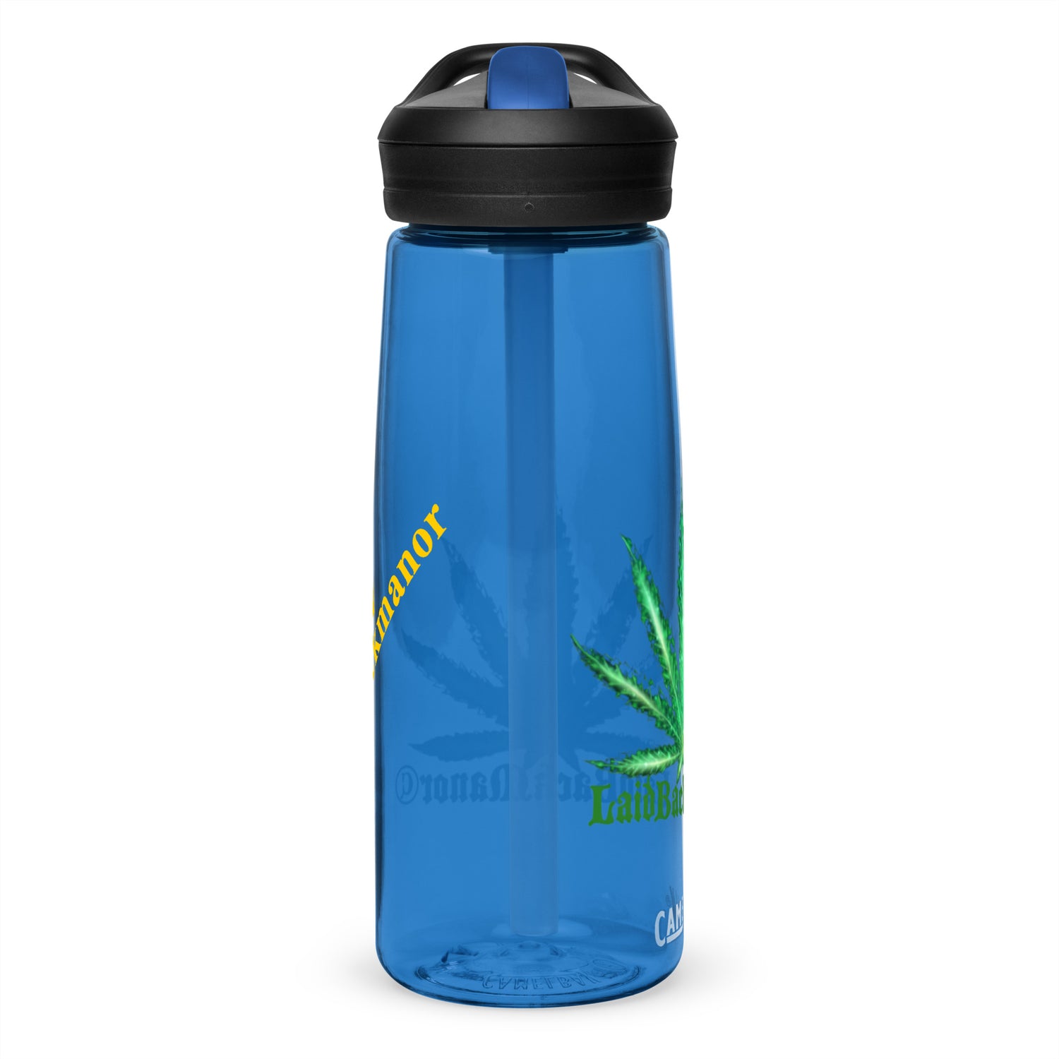 Sports water bottle