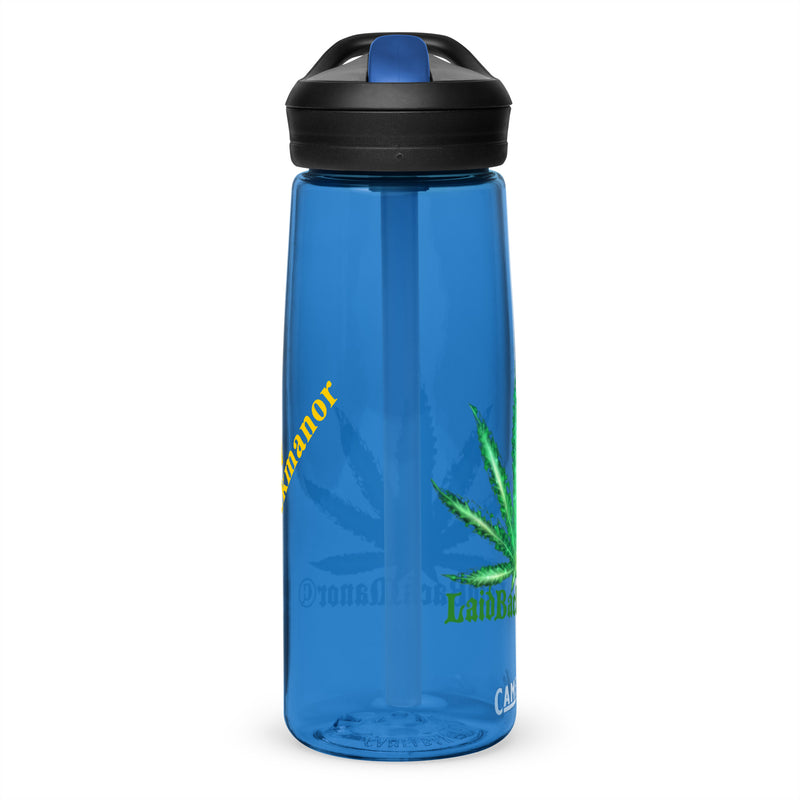 Sports water bottle