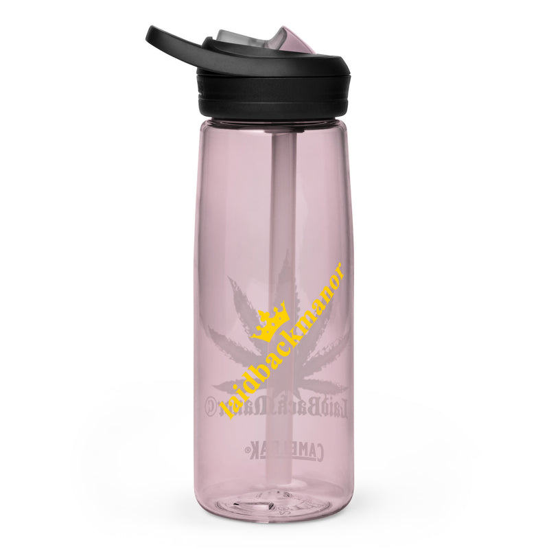 Sports water bottle