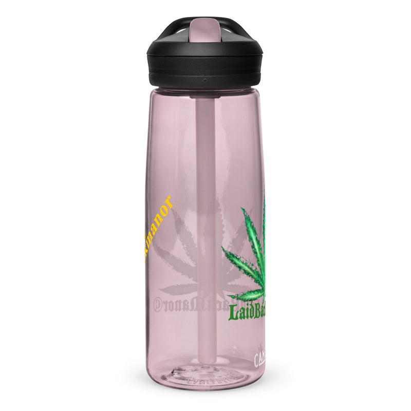 Sports water bottle